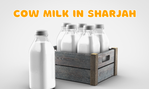 Cow Milk in Sharjah | 100% Pure & Fresh  | Home Delivery Service
