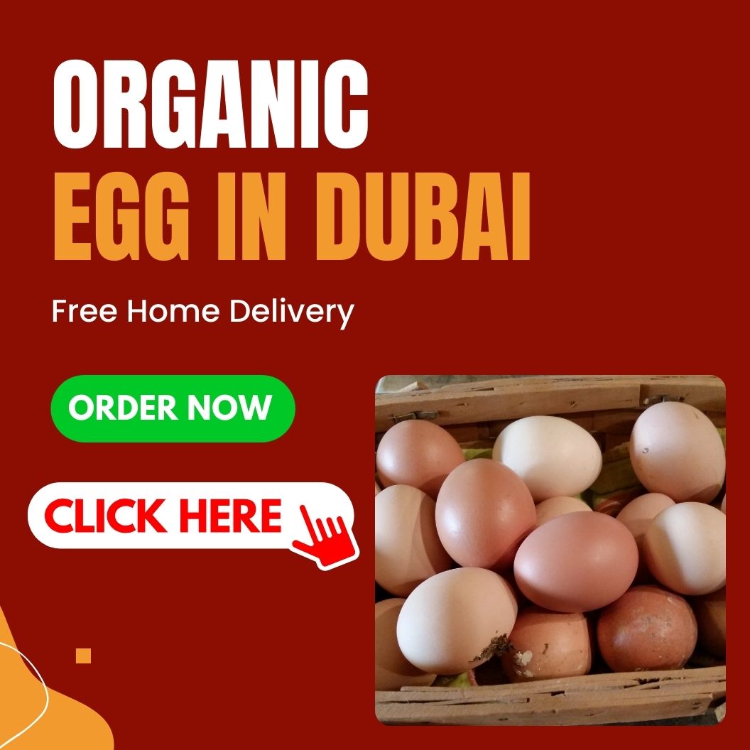 organic egg in Dubai with free home delivery