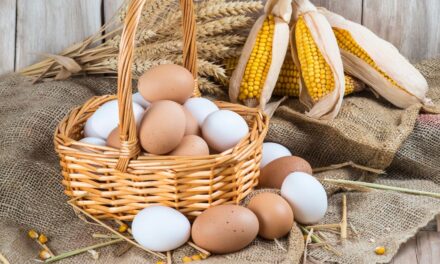 Buy Organic Eggs in Dubai 2024 | Home Delivery Service