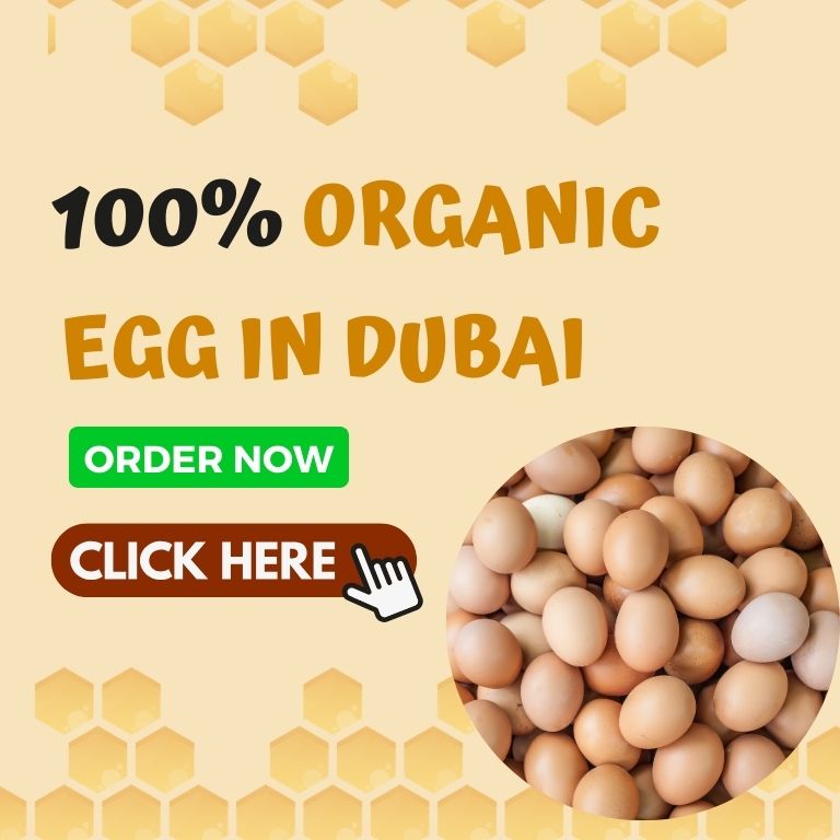 100% organic egg in Dubai