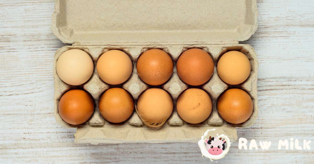 Gentle Handling: Handle organic eggs gently to avoid breaking or harming the fragile shells. When taking eggs from the carton, be careful not to drop or shake them.