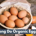 How Long Do Organic Eggs Last?