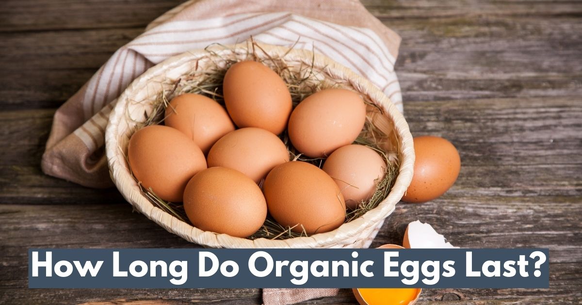 How Long Do Organic Eggs Last? (2024 Guide)