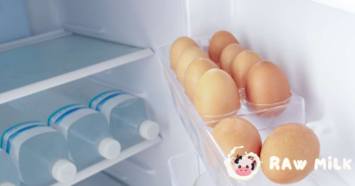 Refrigeration Tips: Keeping organic eggs fresh mainly depends on putting them in the fridge the right way.