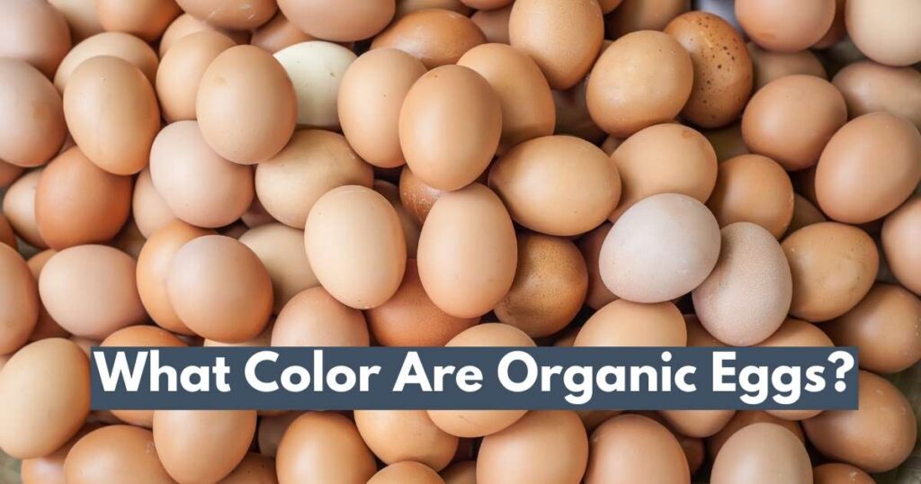 What Color Are Organic Eggs?