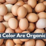 What Color Are Organic Eggs?