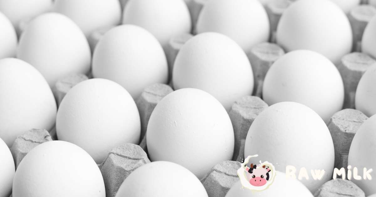 What are Regular Eggs?