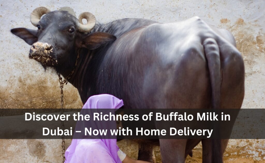 Buffalo Milk in Dubai