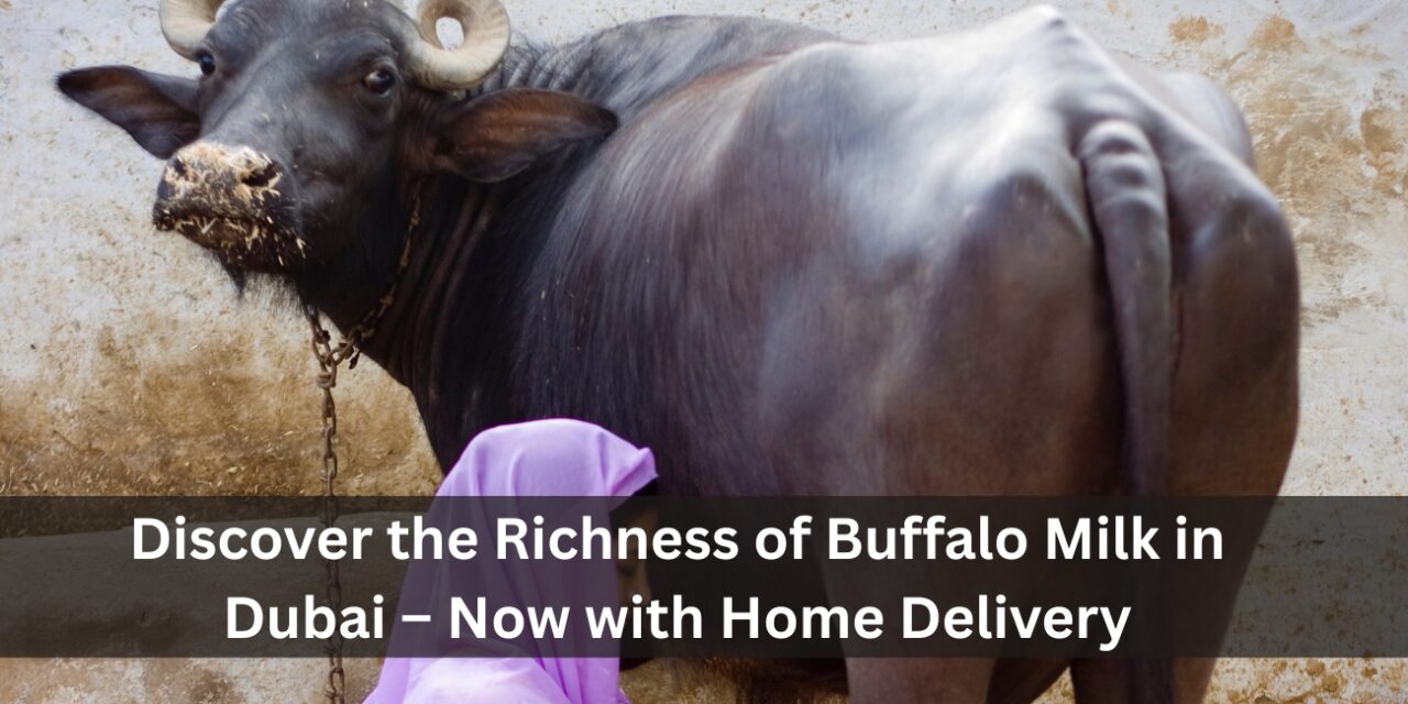 Discover the Richness of Buffalo Milk in Dubai – Now with Home Delivery