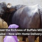 Buffalo Milk in Dubai
