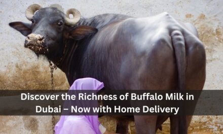 Discover the Richness of Buffalo Milk in Dubai – Now with Home Delivery