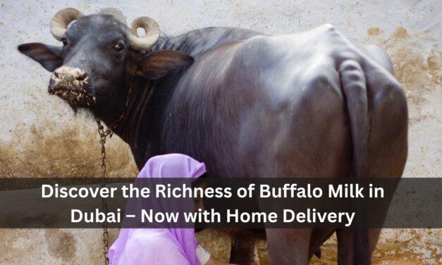 Discover the Richness of Buffalo Milk in Dubai – Now with Home Delivery