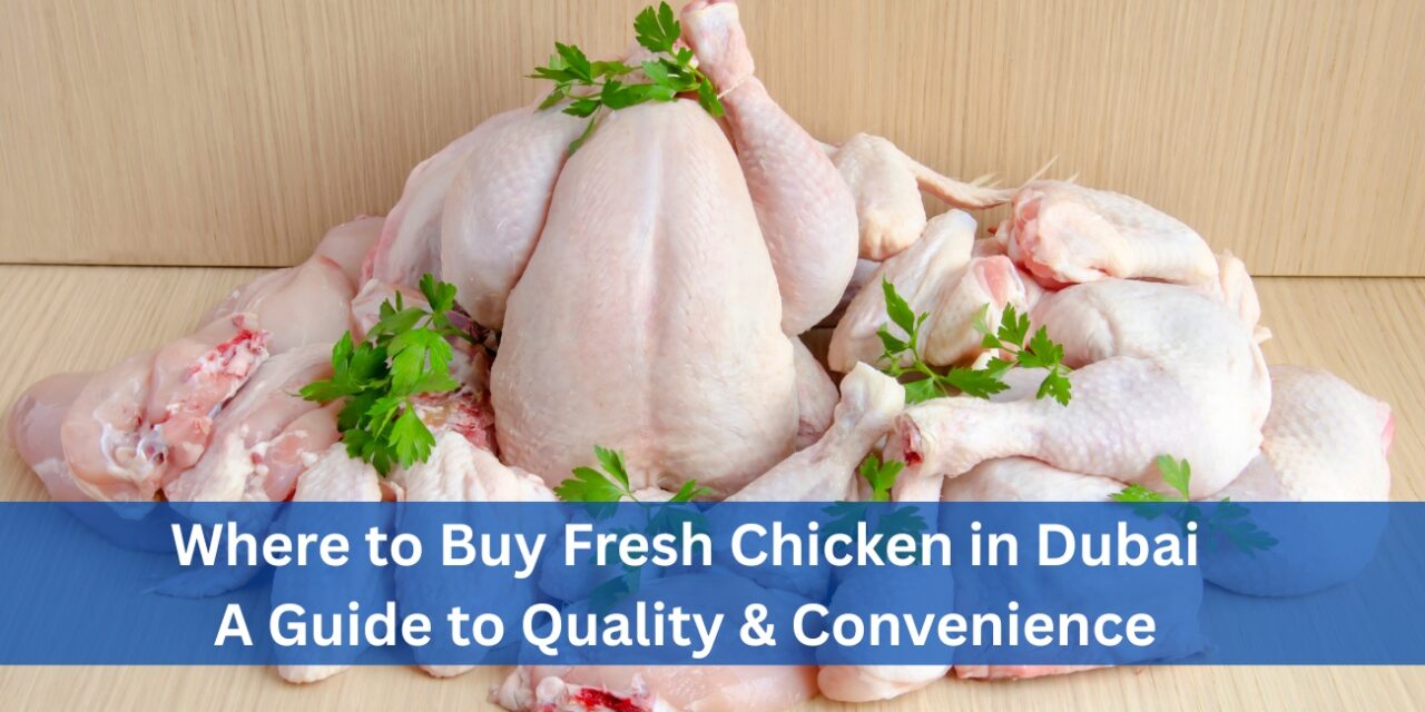 Where to Buy Fresh Chicken in Dubai: A Guide to Quality & Convenience