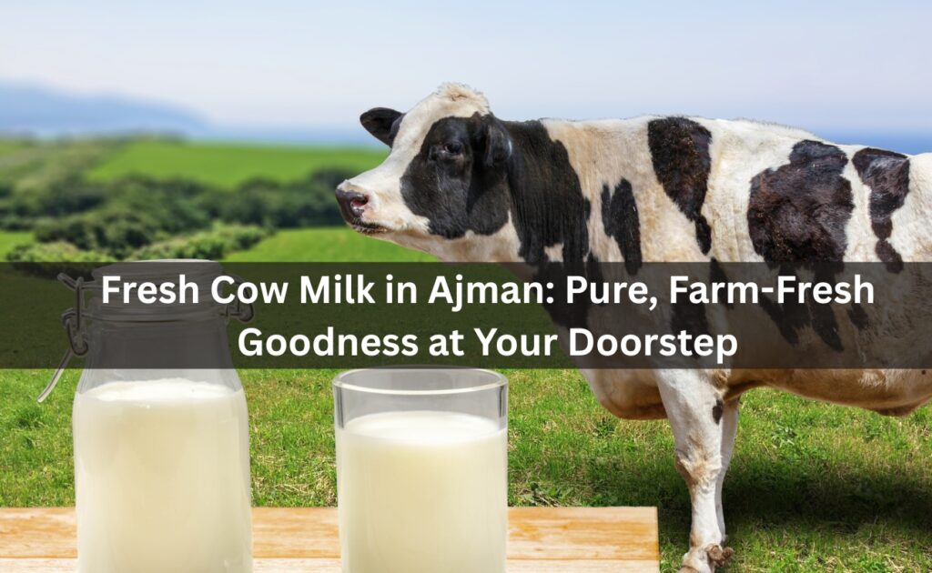 Fresh Cow Milk in Ajman