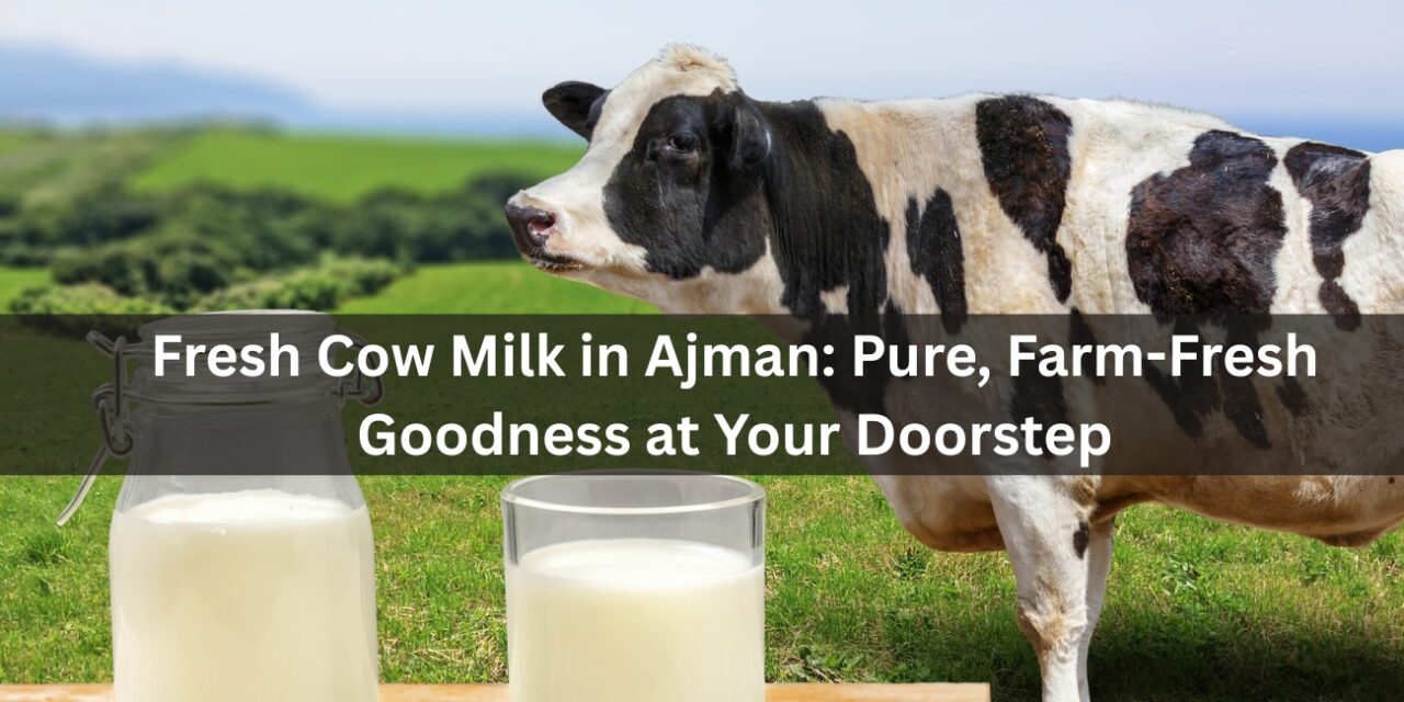 Fresh Cow Milk in Ajman: Pure, Farm-Fresh Goodness at Your Doorstep