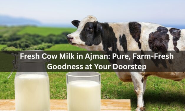 Fresh Cow Milk in Ajman: Pure, Farm-Fresh Goodness at Your Doorstep