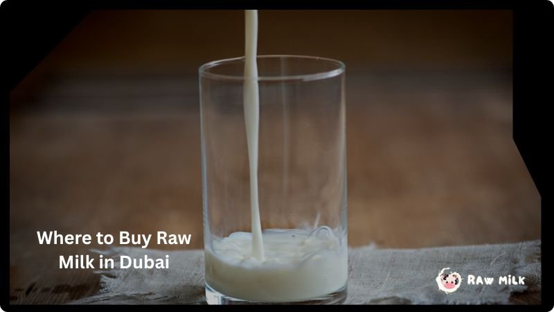 where to buy raw milk in Dubai 2026 fresh farm milk delivery UAE suppliers guide