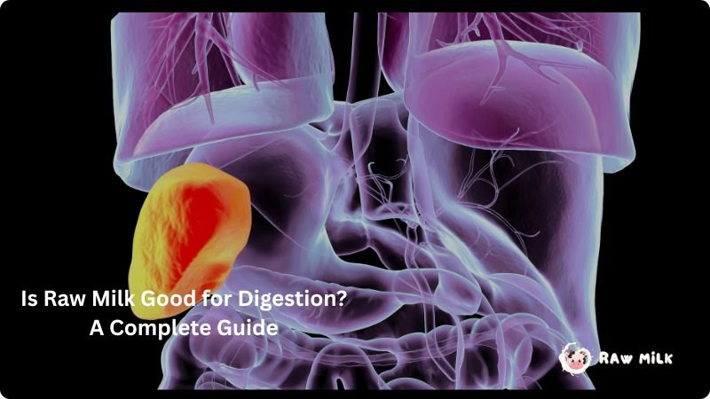 raw milk digestion benefits gut health enzymes probiotics vs pasteurized milk digestion