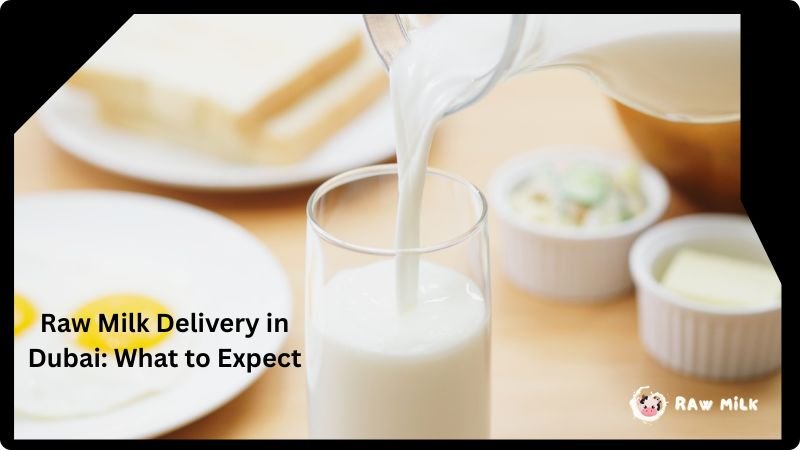 Raw milk delivery in Dubai fresh organic milk bottles doorstep UAE