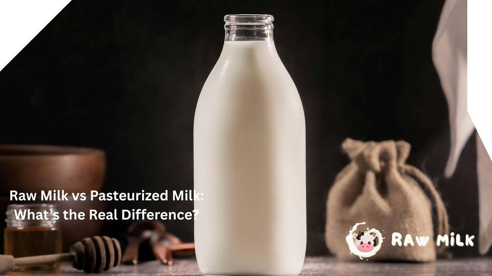 Raw milk vs pasteurized milk comparison showing differences in processing, safety, and nutrition